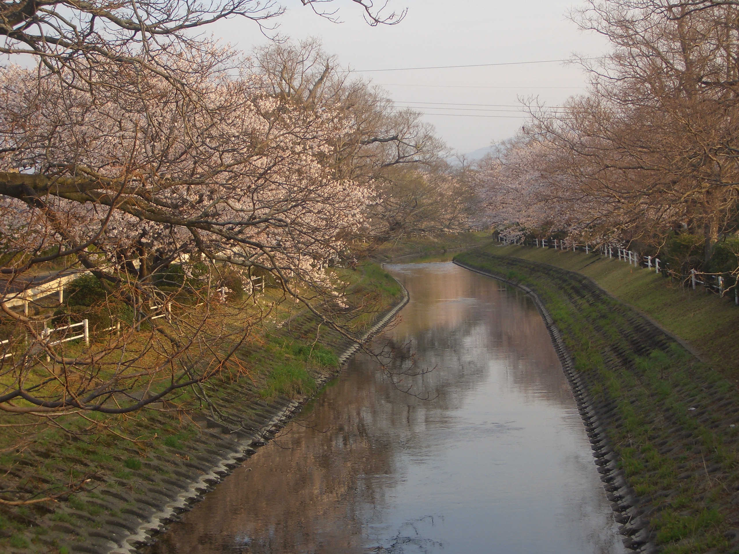 散歩 川上義幸のブログ
