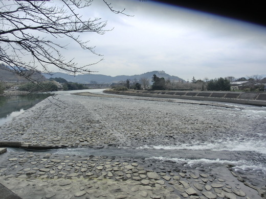 CIMG3780.JPG