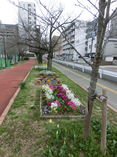 CIMG5935.JPG