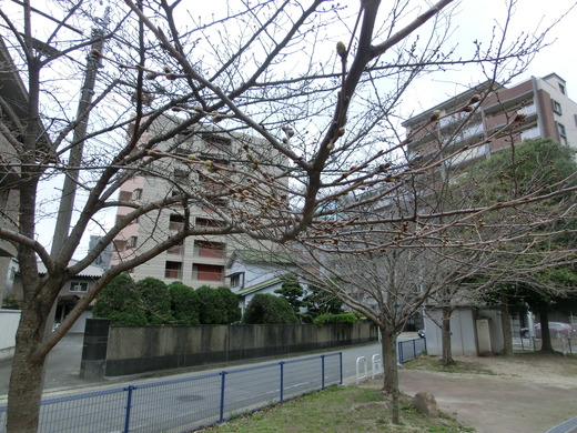 CIMG5941.JPG