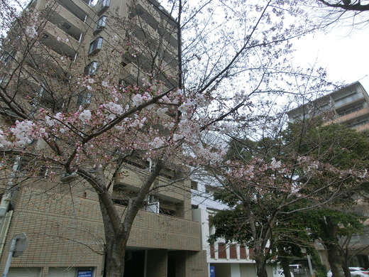 CIMG5949.JPG