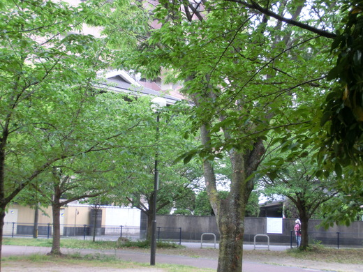 CIMG5972.JPG