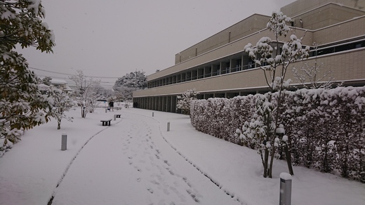 DSC_0003.JPG