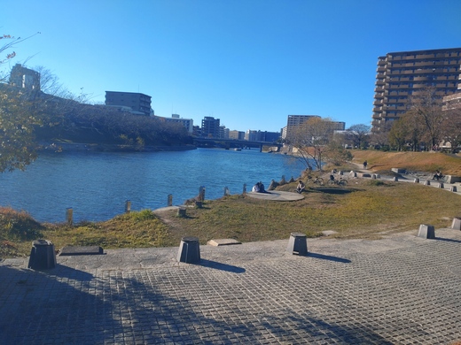 DSC_0220 (002).JPG