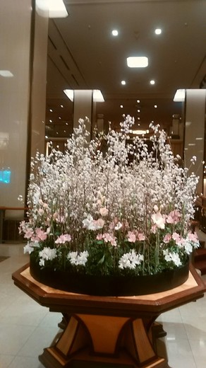 IMG_20170330_130849.jpg