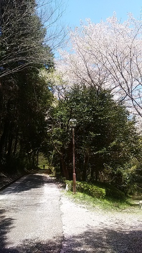 IMG_20170414_123740.jpg